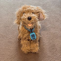 Moji Dog Toy