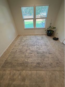 7x10 Rug