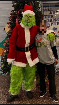 Grinch costume