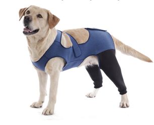 Dog Recovery Sleeve , XL