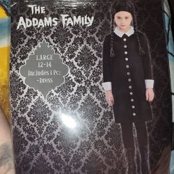 Girls Wednesday Addams Costume 