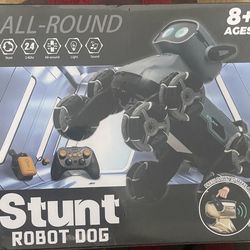 Stunt Robot Dog Remote Control Toy