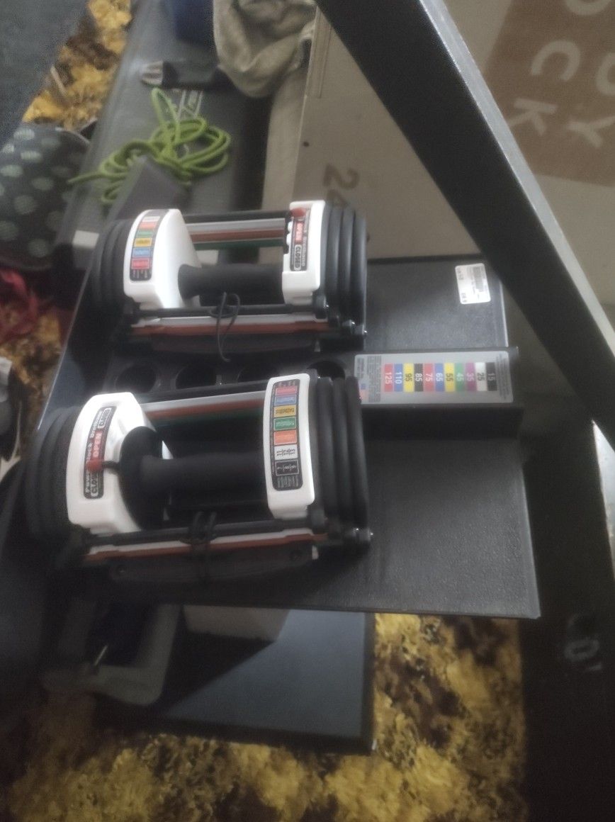 Poweblock Dumbbells With Stand