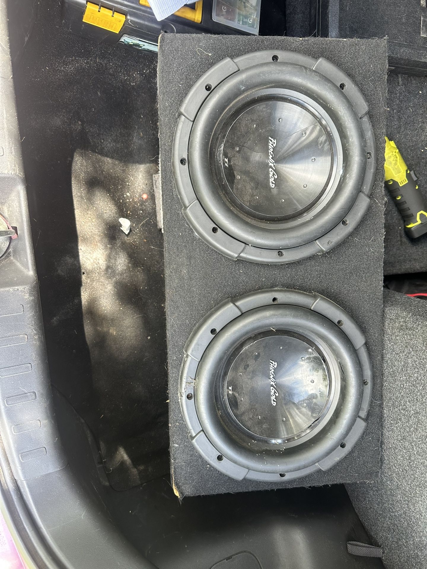 2 10 Inch Subwoofer