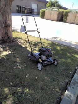 Murray Gas-Powered Push Lawn Mower