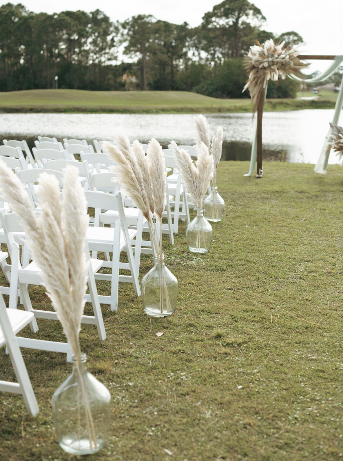 Pampas In Milk Jugs