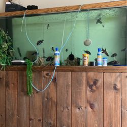 265 Gallon Tank