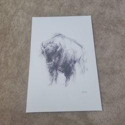 Bison Wall Decoration 