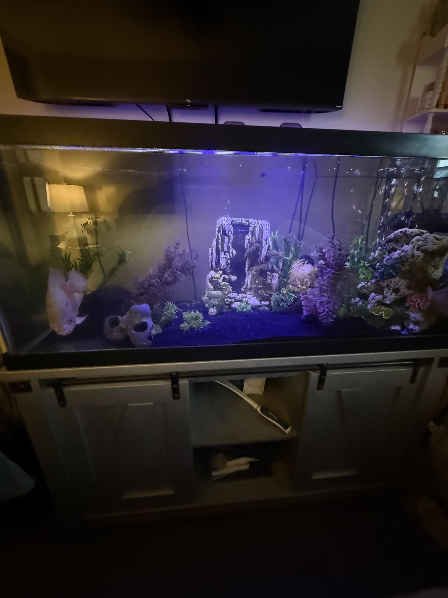 75 Gallon Fish Tank /Stand