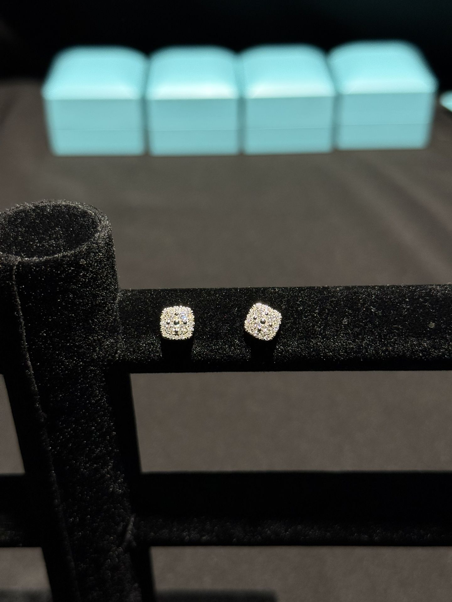 VVS1 Moissanite Circled Earrings