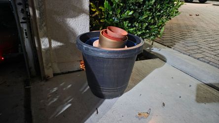 Plant Pots FREE
