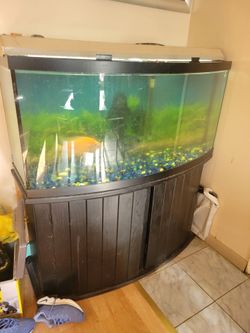 Fish tank