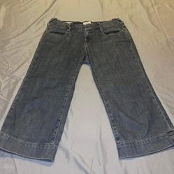 Banana Republic classic fit denim capris  Size 2 Medium wash wi