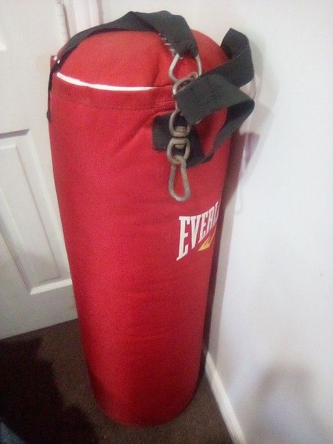 Everlast Punching Bag