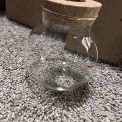 6 New Plant Propagators