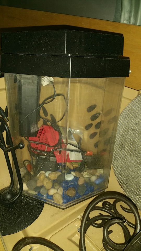 Small Fish Tank Complete with pump
