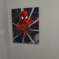Spider-Man Canvas