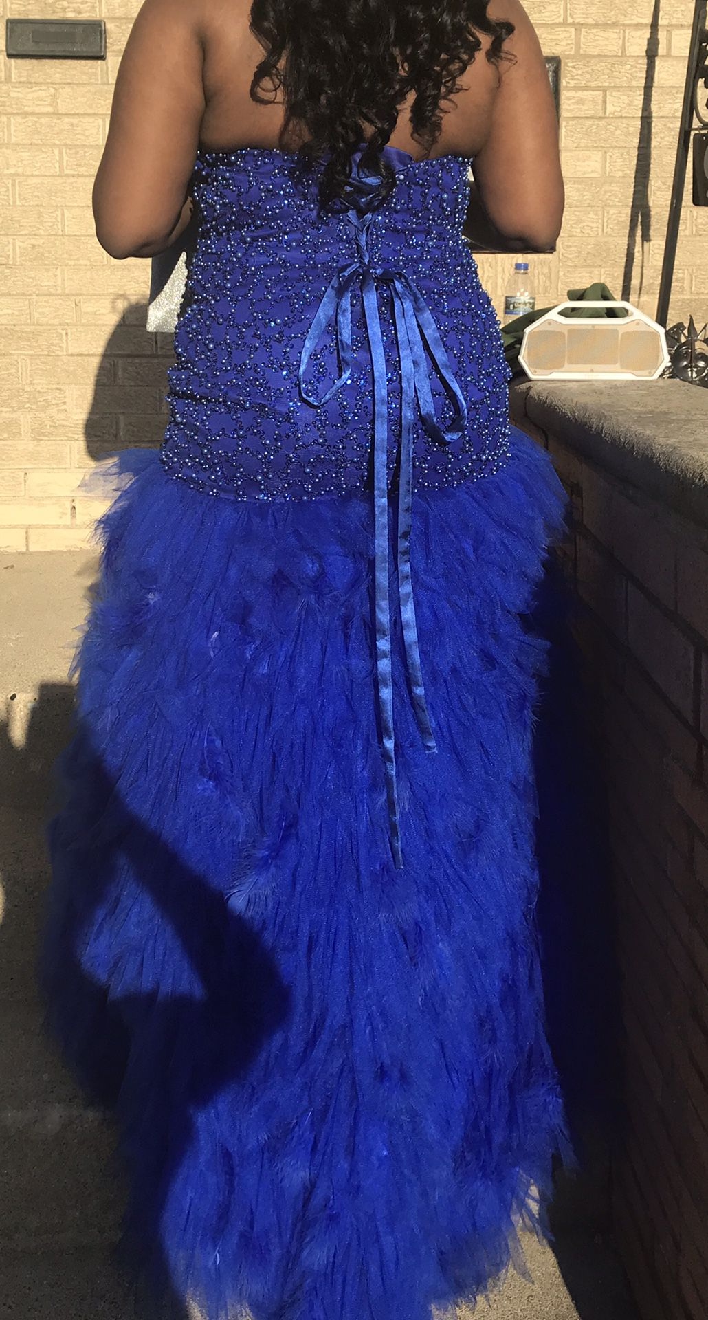 Royal Blue Mermaid Style Prom Dress size 2XL