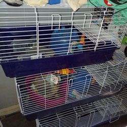 I'm Selling Guinea Pig Cage Good Shape