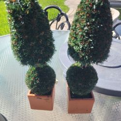 Decor (2 Small Artificial Plants)