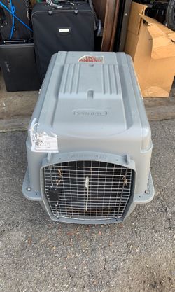 Pet kennel