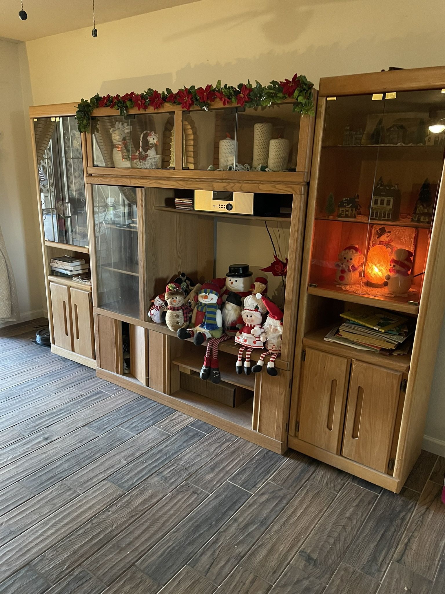 Entertainment Center