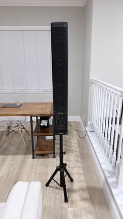 Fishman SA-220  PA