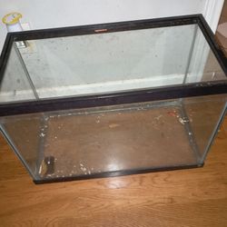 Fish Tank