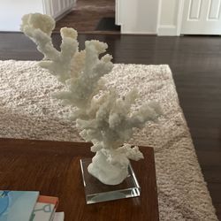 decorative coral