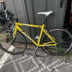 Giant Bike