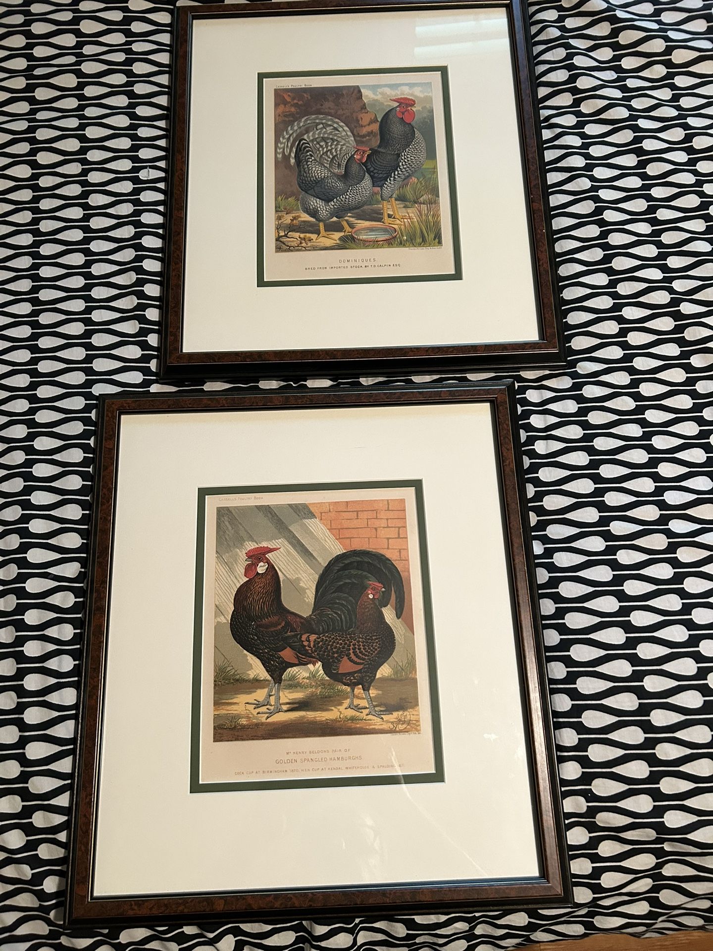 PR Of Poultry Bird Litho Prints Framed