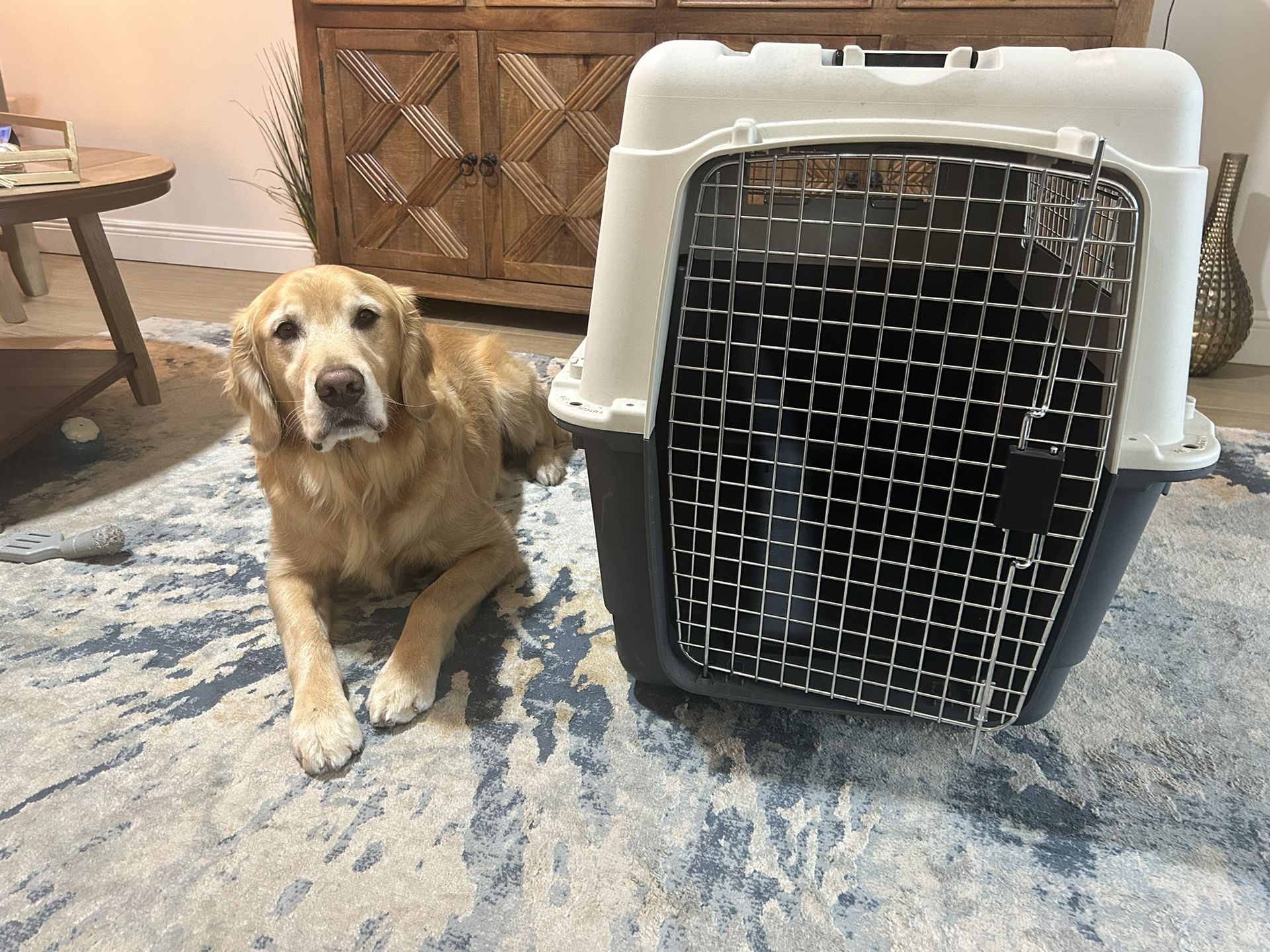 TSA Approved Extra large Dog kennel