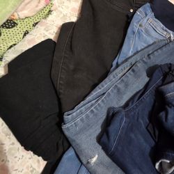 Maternity Pants 