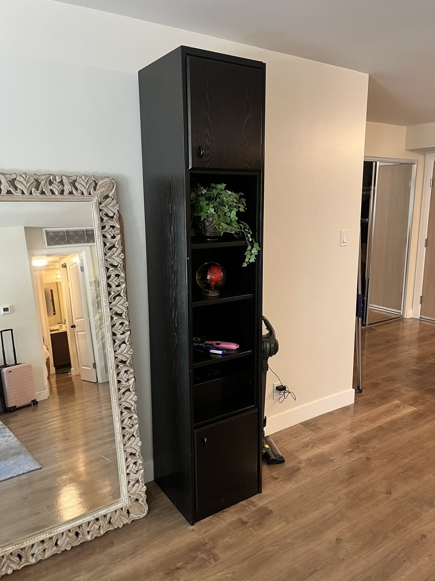 Shelf / Cabinet 