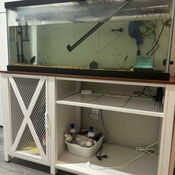 fish tank and stand