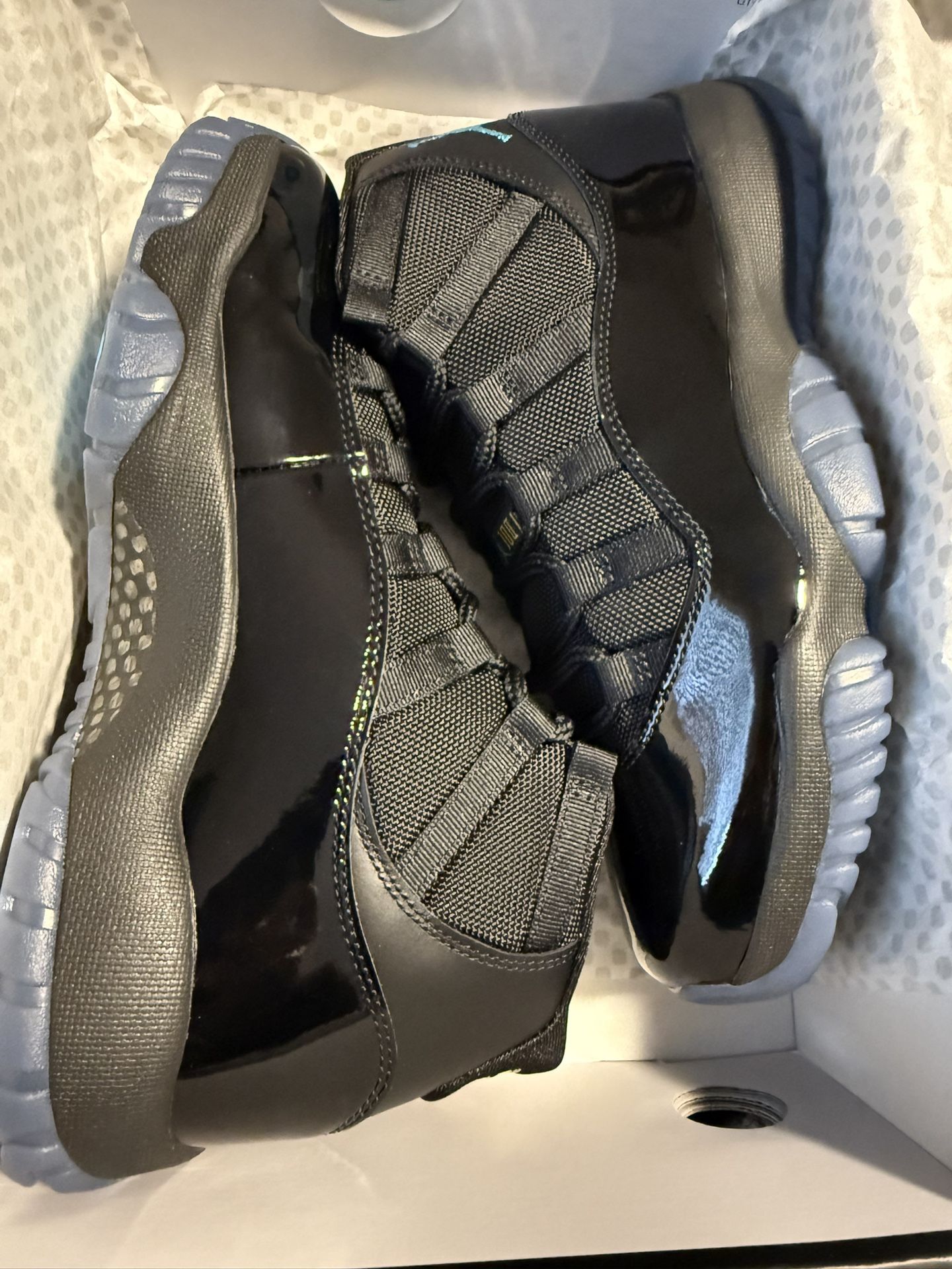 Jordan 11 Gammas