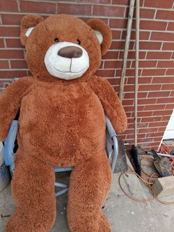 Huge Teddy Bear