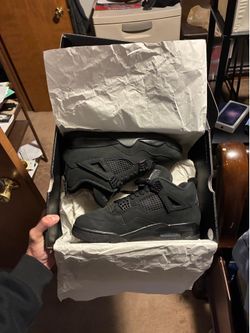 Black Cats