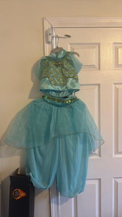 Princess Jasmine Costume