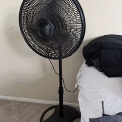 Black Fan 