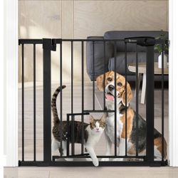 Gate With Cat Door