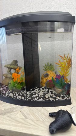 Fish tank