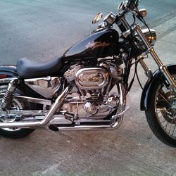2001 Sportster 883 Custom Harley Davidson 