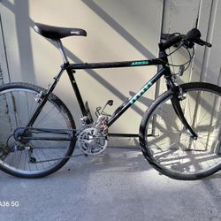 1993 Novara Arriba MTB/Commuter- 19"
