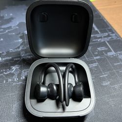 Beats Powerbeats Pro Wireless Earbuds - Apple H1 Headphone Chip