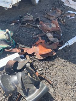 Horse saddles 15-17 in