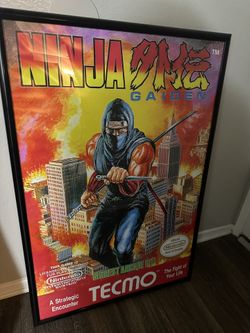 Frames ninja Gaiden Poster