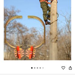 Tree Spikes // Picos 