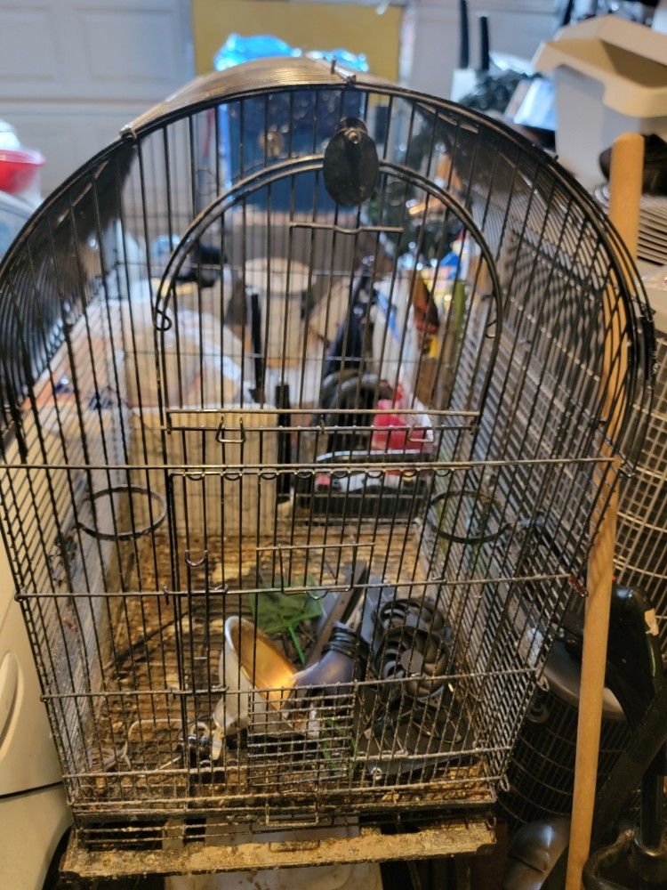 Bird Cage