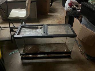 Reptile Enclosure